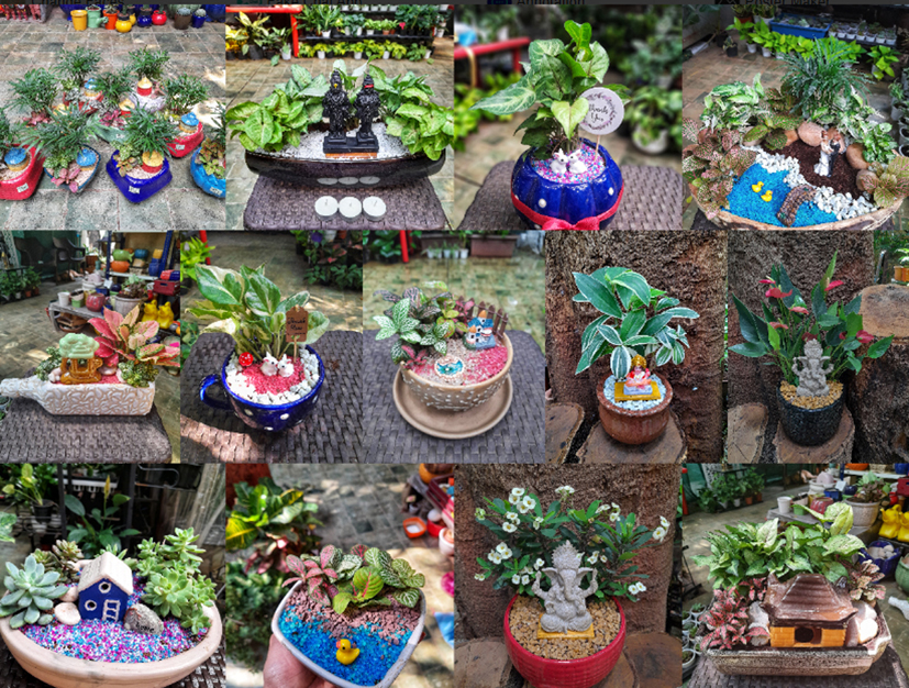 Miniature gardens